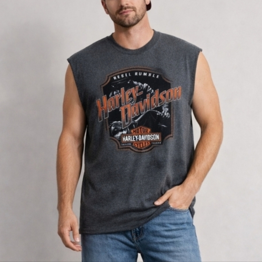 Harley-Davidson XL Rebel Rumble Gray Orange Graphic T-Shirt